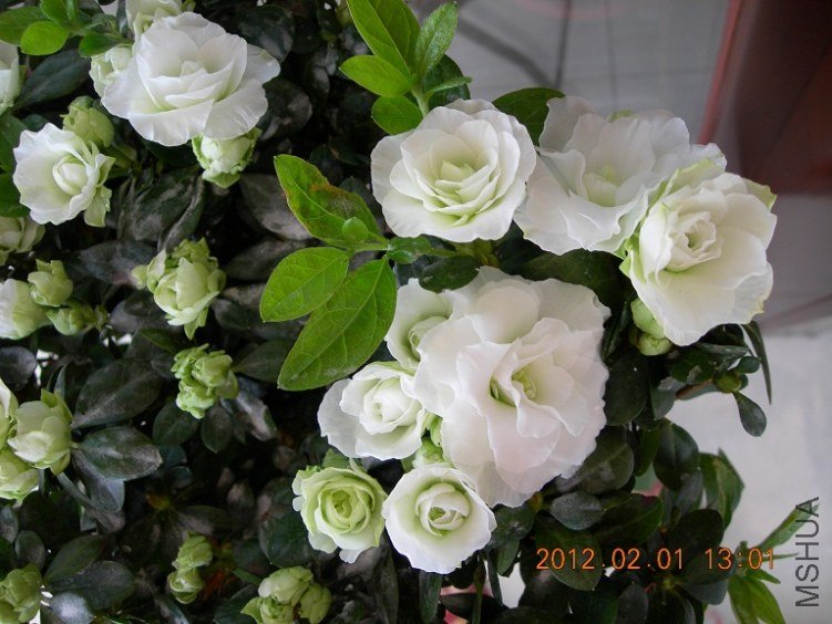 DSCN0769.JPG