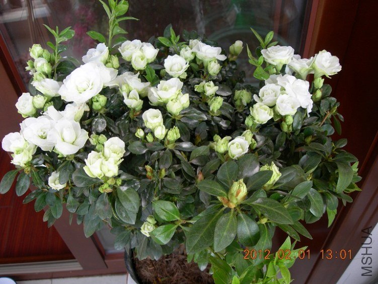 DSCN0770.JPG