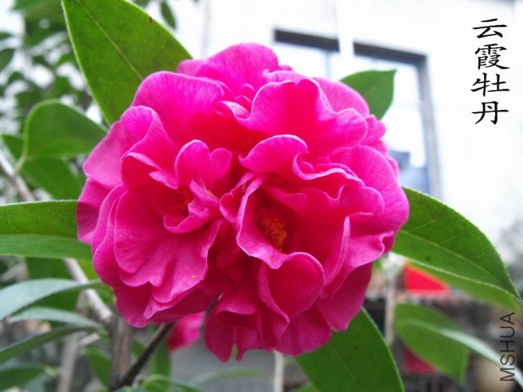 DSCF0376.jpg