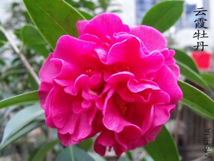 DSCF0377.jpg