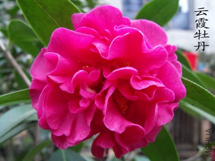 DSCF0378.jpg