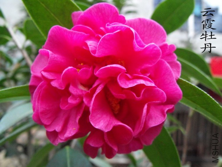 DSCF0379.jpg