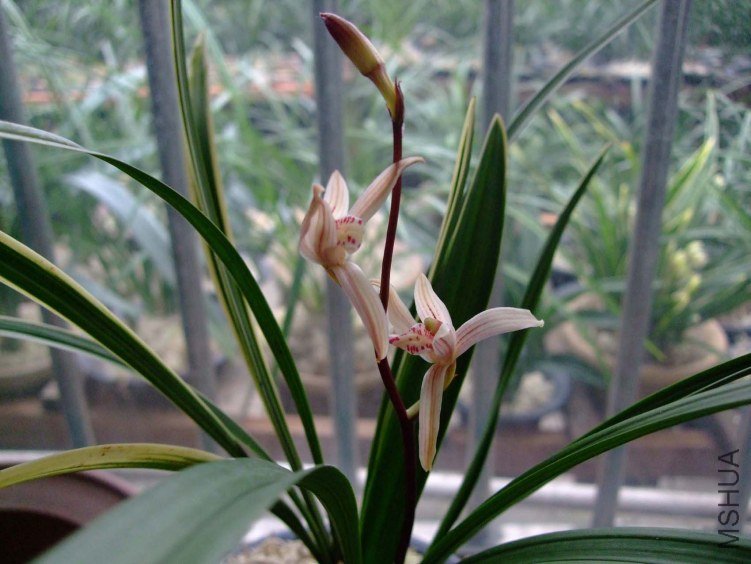 ��Ƭ2012-2-2f 01111.jpg