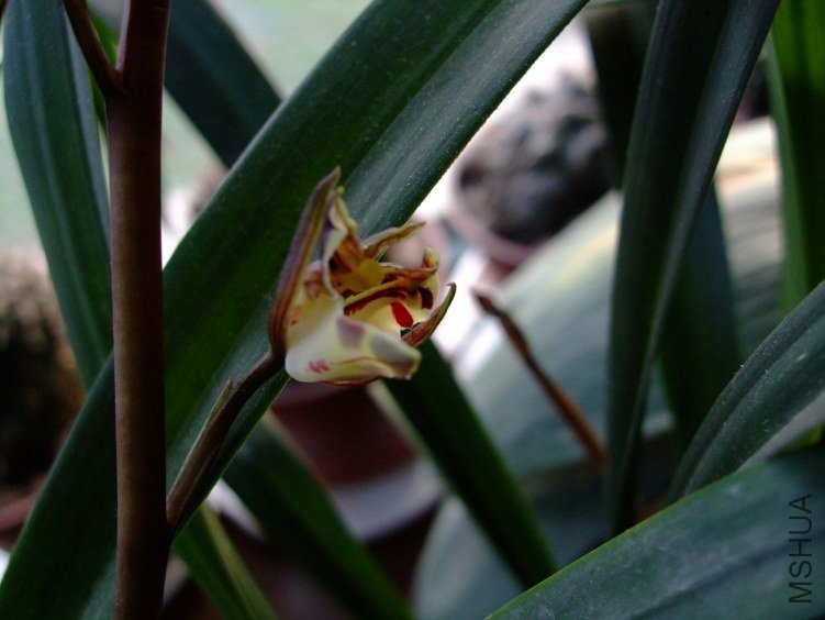 ��Ƭ2012-2-2af 005.jpg