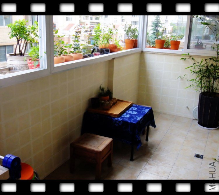 DSCF0519.JPG
