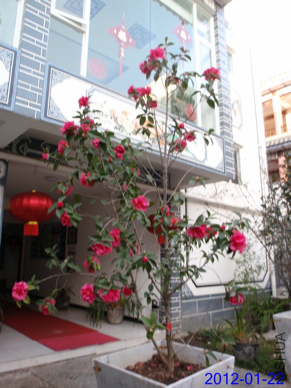 P1224096 - ����.JPG