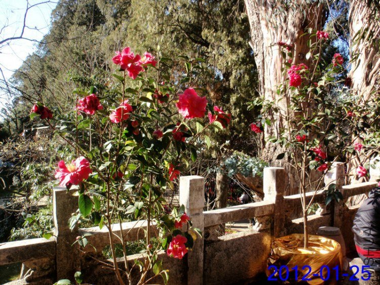 P1254355 - ����.JPG