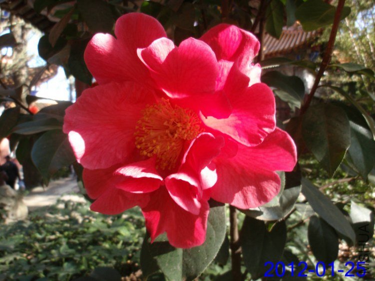 P1254357 - ����.JPG