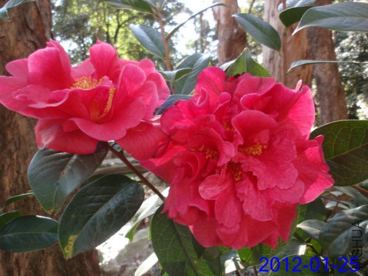 P1254366 - ����.JPG