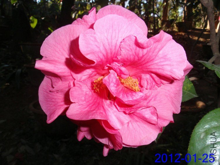 P1254375 - ����.JPG