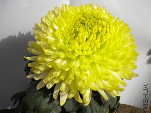 A204������ʹ.jpg