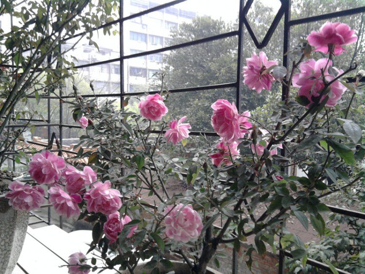 ��Ƭ0278_����.jpg