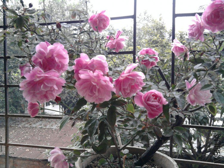 ��Ƭ0279_����.jpg