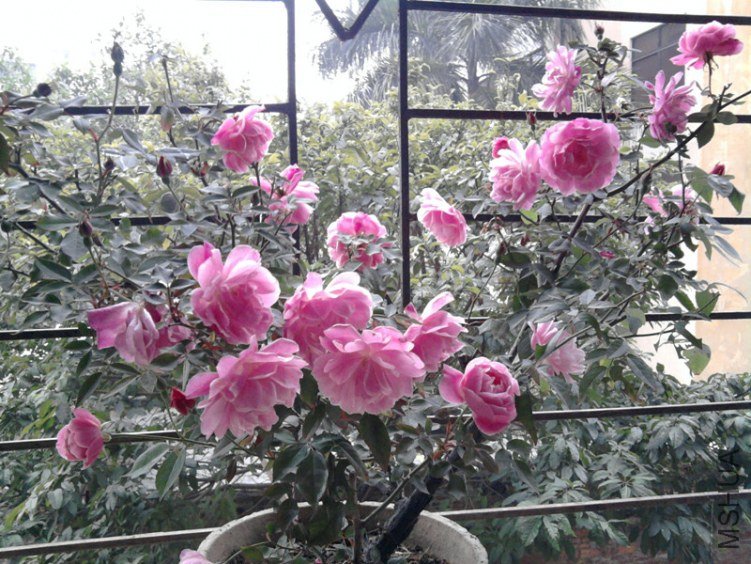 ��Ƭ0280_����.jpg