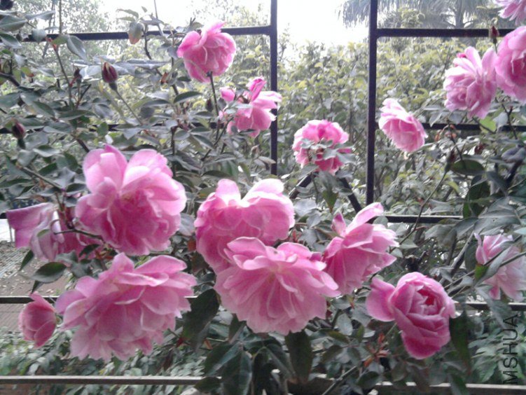 ��Ƭ0281_����.jpg