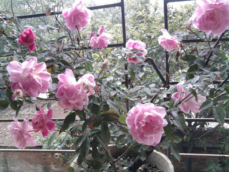 ��Ƭ0289_����.jpg