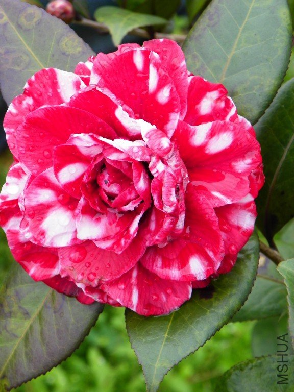 100_1355.jpg
