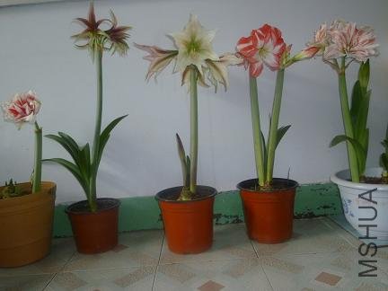 P1010283.JPG