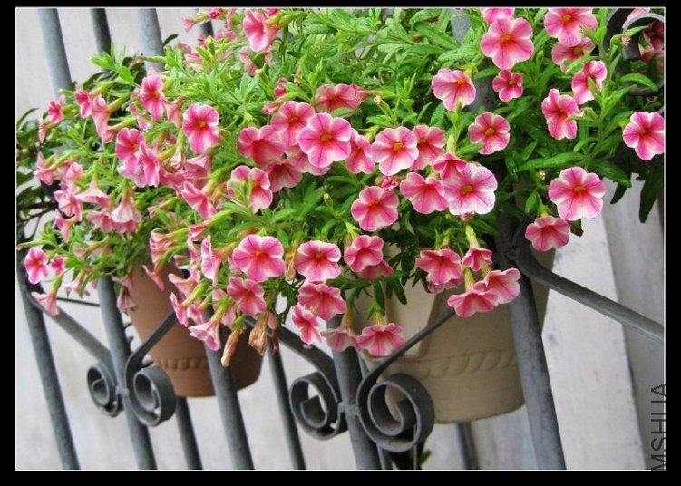 2011��8�� 025.jpg