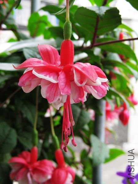 2010��6�� 223.jpg