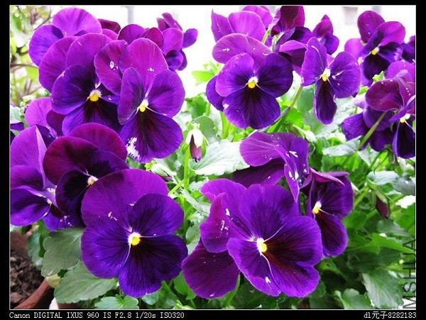 2010��6�� 172.jpg