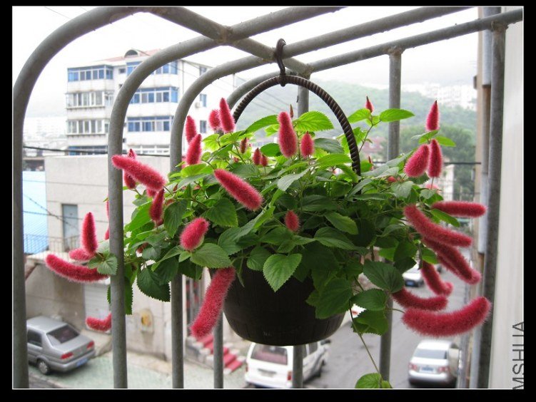 2011��8�� 012.jpg