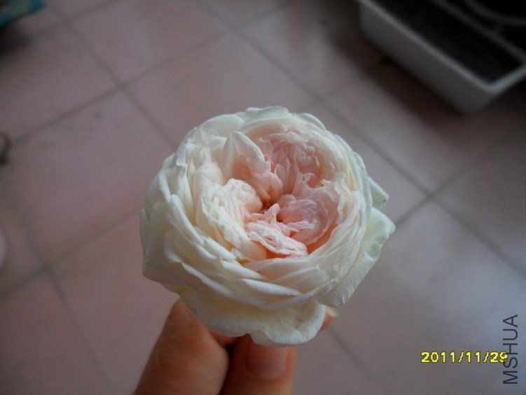 ��Ƭ 018.jpg
