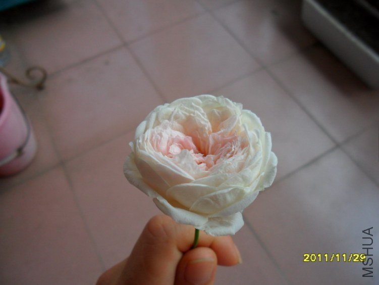 ��Ƭ 020.jpg
