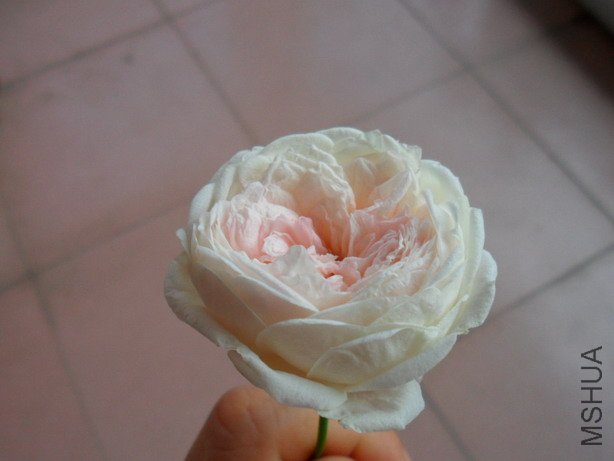 ��Ƭ 024.jpg