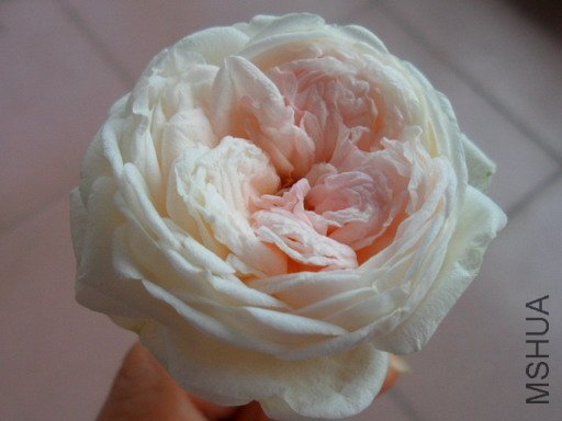 ��Ƭ 025.jpg