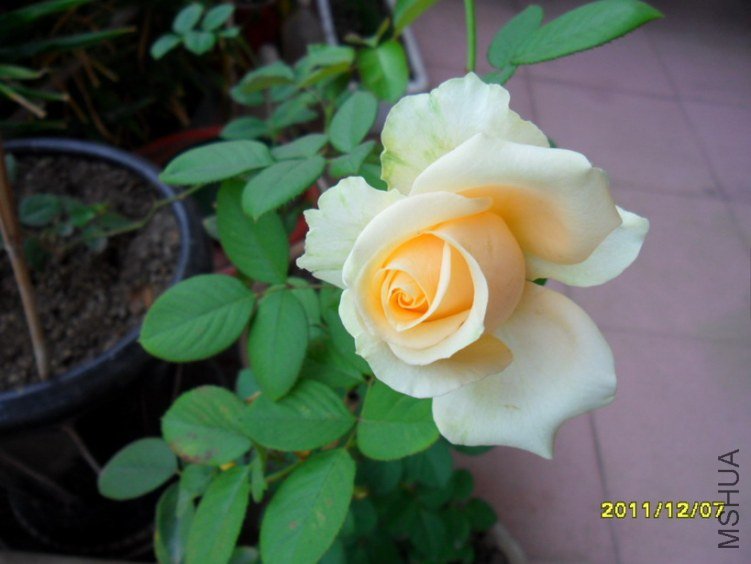 ��Ƭ 023.jpg