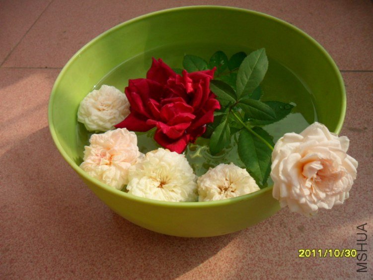 ��Ƭ 011.jpg