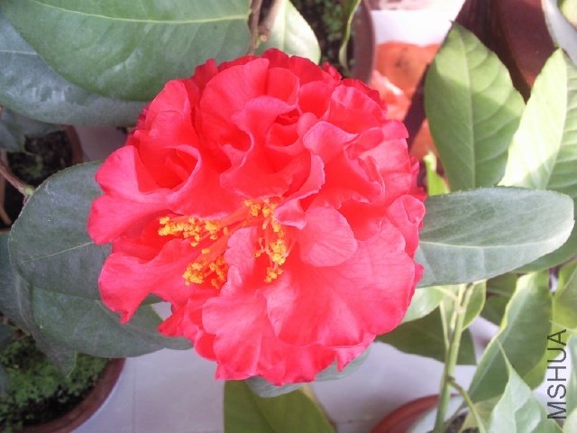 ��Ƭ0281.jpg