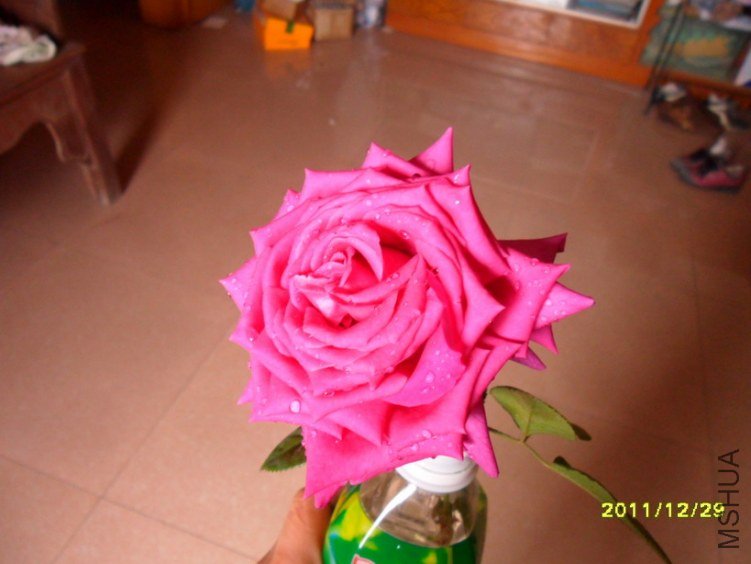 ��Ƭ 185.jpg