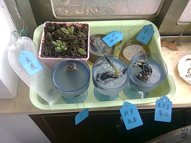 ��Ƭ0731.jpg