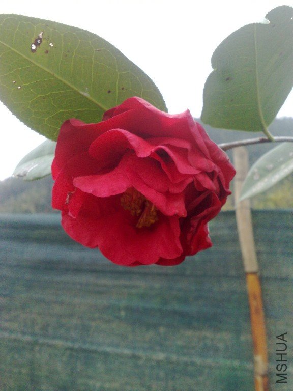201202021160.jpg