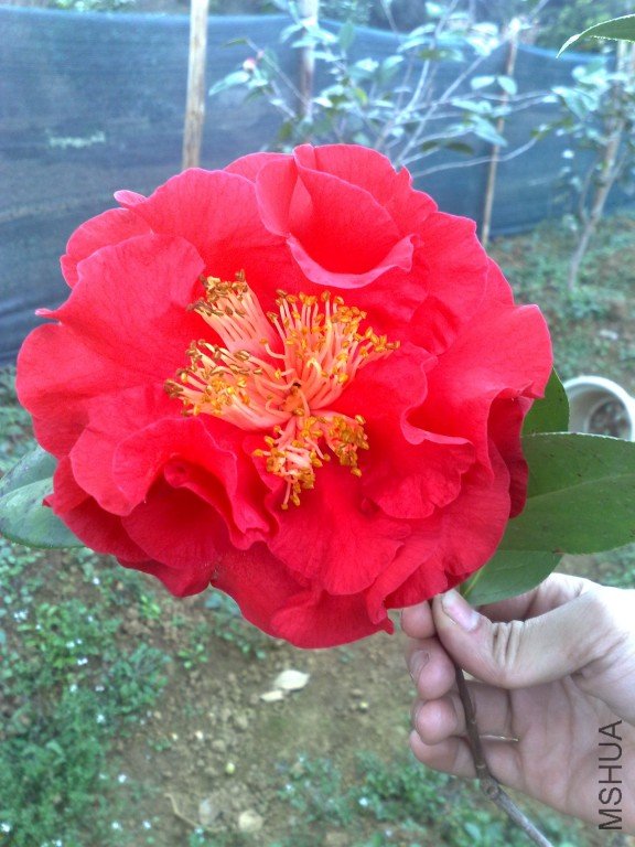 201202061180.jpg