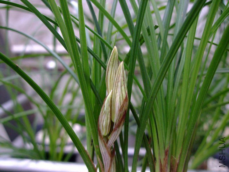 ���� 2012-2-6f (2).jpg