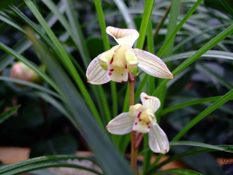 ���� 2012-2-6f (1).jpg