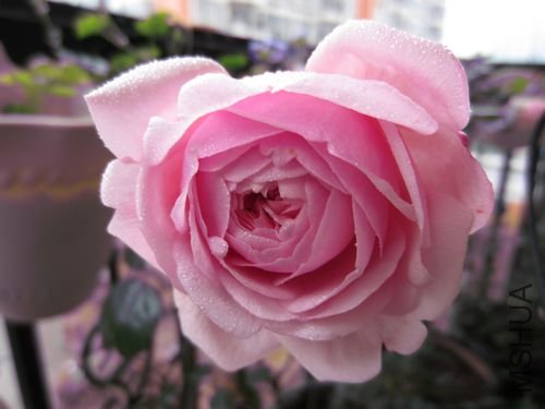 IMG_0563.jpg