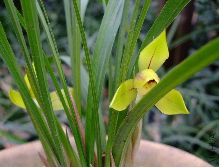 ��Ƭ2012-2-7f 03011.jpg