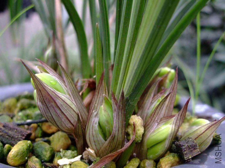 ��Ƭ2012-2-7f 03511.jpg