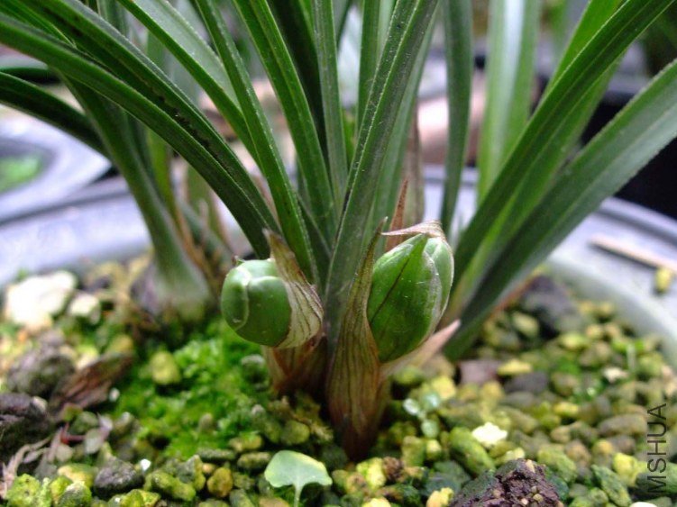 ��Ƭ2012-2-7f 03411.jpg