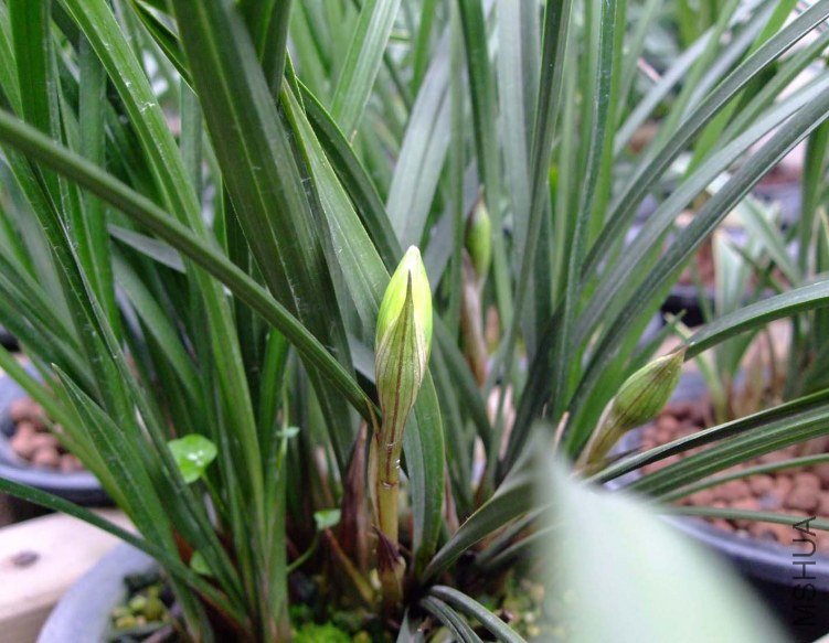 ��Ƭ2012-2-7f 03311.jpg