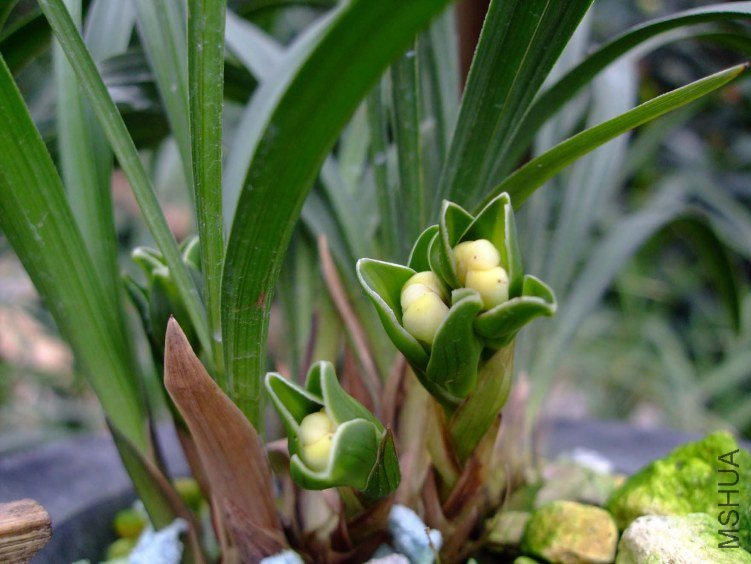 ��Ƭ2012-2-7f 02811.jpg