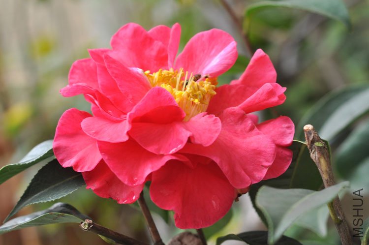 DSC_1780.JPG