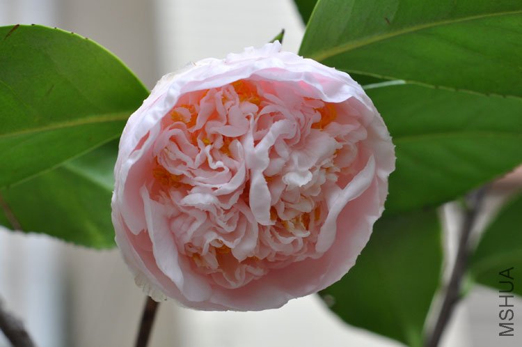 DSC_1791.JPG