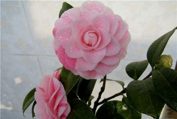 092917mssummxmlx5m9m81_����.jpg