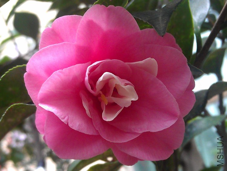 IMAG0213.jpg