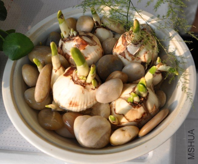 2011-12-24.jpg